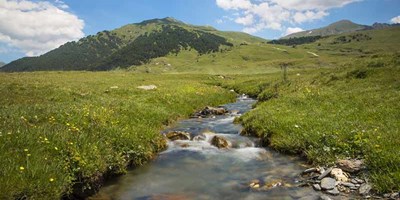 Nacimineto de rio en la montaña